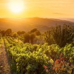 Yoga & Mindfulness i Toscana 2026 2