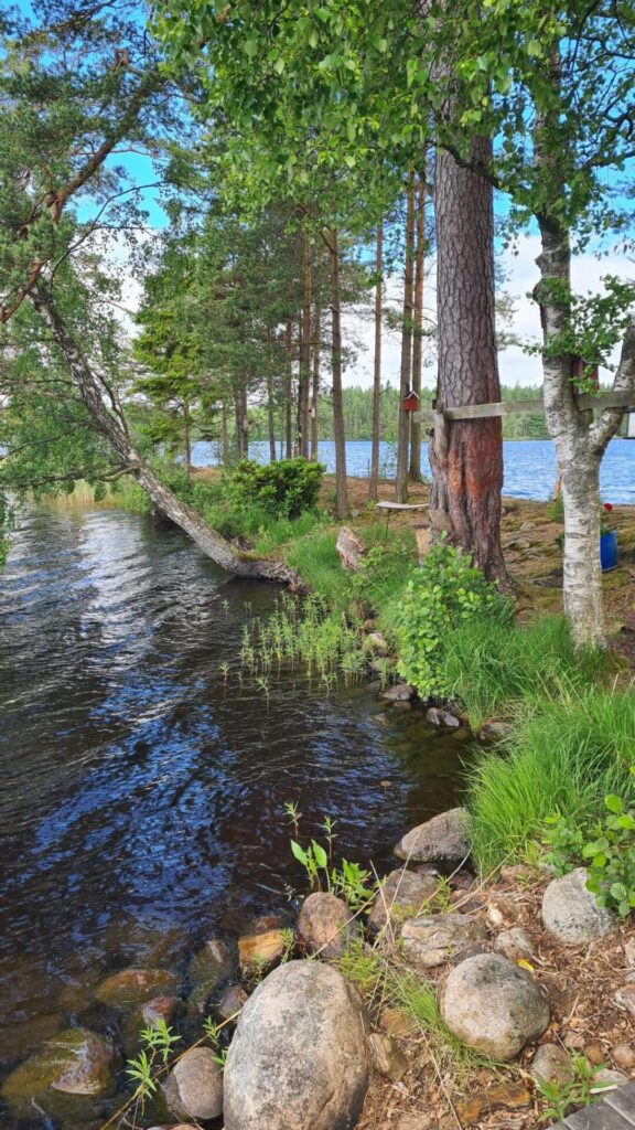 Stilla natur